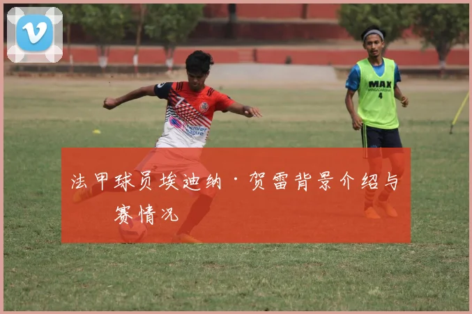 法甲球员埃迪纳·贺雷背景介绍与参赛情况