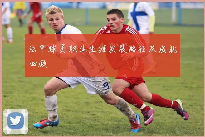 法甲球员职业生涯发展路径及成就回顾