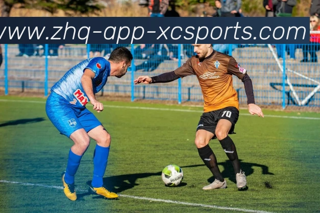 杏彩体育全站App